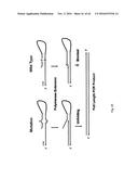 ALLELE AMPLIFICATION BIAS diagram and image