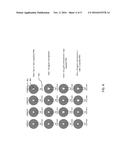 SEQUENCE-SPECIFIC DETECTION AND PHENOTYPE DETERMINATION diagram and image