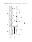 Pathogenesis Quantification Systems and Treatment Methods for Citrus     Greening Blight diagram and image