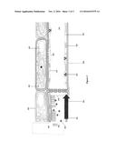 Pathogenesis Quantification Systems and Treatment Methods for Citrus     Greening Blight diagram and image