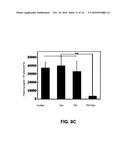 CATIONIC POLYMERS AS CO-DRUGS FOR CHEMOTHERAPEUTIC AGENTS diagram and image