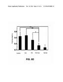 CATIONIC POLYMERS AS CO-DRUGS FOR CHEMOTHERAPEUTIC AGENTS diagram and image