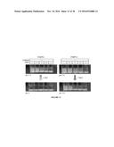 CHITOSAN DERIVATIVES FOR INACTIVATION OF ENDOTOXINS AND SURFACE PROTECTION     OF NANOPARTICLES diagram and image