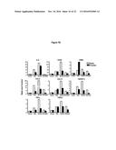 RECOMBINANT LACTOBACILLUS WITH DECREASED LIPOTEICHOIC ACID TO REDUCE     INFLAMMATORY RESPONSES diagram and image