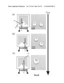 Fluidics Apparatus and Fluidics Substrate diagram and image