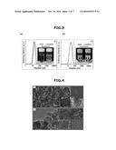 METHOD FOR THE PREPARATION OF A SYNTHETIC FAUJASITE MATERIAL COMPRISING     MONODISPERSE NANOPARTICLES COMPOSED OF SINGLE NANOCRYSTALS diagram and image