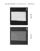 MACROPOROUS PHOTONIC CRYSTAL MEMBRANE, METHODS OF MAKING,  AND METHODS OF     USE diagram and image