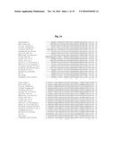 Disease Resistant Grape Plants diagram and image