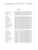 Disease Resistant Grape Plants diagram and image