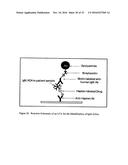 Immunogenicity Assay diagram and image