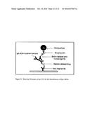 Immunogenicity Assay diagram and image