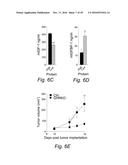 Methods and Diets to Protect Against Chemotoxicity and Age Related     Illnesses diagram and image