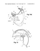 Protective Helmet and Face Shield diagram and image