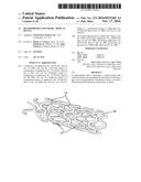 BIOABSORBABLE POLYMERIC MEDICAL DEVICE diagram and image