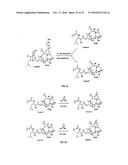 9, 10-ALPHA, ALPHA-OH-TAXANE ANALOGS AND METHOD FOR PRODUCTION THEREOF diagram and image