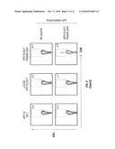 NOVEL VACCINES AGAINST HPV AND HPV-RELATED DISEASES diagram and image