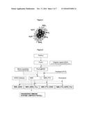 MAGNETIC NANOPARTICLES FUNCTIONALIZED WITH CATHECOL, PRODUCTION AND USE     THEREOF diagram and image