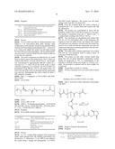 MAGNETIC NANOPARTICLES FUNCTIONALIZED WITH CATHECOL, PRODUCTION AND USE     THEREOF diagram and image