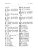 BETA-HAIRPIN PEPTIDOMIMETICS AS SELECTIVE ELASTASE INHIBITORS diagram and image