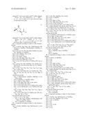 BETA-HAIRPIN PEPTIDOMIMETICS AS SELECTIVE ELASTASE INHIBITORS diagram and image