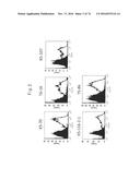 ANTI-HUMAN TROP-2 ANTIBODY HAVING AN ANTITUMOR ACTIVITY IN VIVO diagram and image