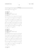 ANTI-HUMAN TROP-2 ANTIBODY HAVING AN ANTITUMOR ACTIVITY IN VIVO diagram and image