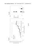 ANTI-HUMAN TROP-2 ANTIBODY HAVING AN ANTITUMOR ACTIVITY IN VIVO diagram and image