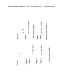 ANTI-HUMAN TROP-2 ANTIBODY HAVING AN ANTITUMOR ACTIVITY IN VIVO diagram and image