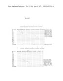 ANTI-HUMAN TROP-2 ANTIBODY HAVING AN ANTITUMOR ACTIVITY IN VIVO diagram and image