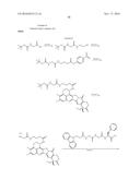 ANTI-HER2 ANTIBODY-DRUG CONJUGATE diagram and image