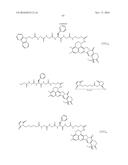 ANTI-HER2 ANTIBODY-DRUG CONJUGATE diagram and image