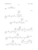 ANTI-HER2 ANTIBODY-DRUG CONJUGATE diagram and image