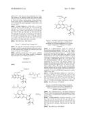 ANTI-HER2 ANTIBODY-DRUG CONJUGATE diagram and image