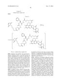 ANTI-HER2 ANTIBODY-DRUG CONJUGATE diagram and image