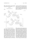 ANTI-HER2 ANTIBODY-DRUG CONJUGATE diagram and image