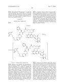 ANTI-HER2 ANTIBODY-DRUG CONJUGATE diagram and image