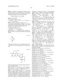 ANTI-HER2 ANTIBODY-DRUG CONJUGATE diagram and image