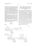 ANTI-HER2 ANTIBODY-DRUG CONJUGATE diagram and image