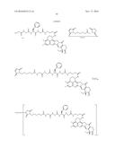 ANTI-HER2 ANTIBODY-DRUG CONJUGATE diagram and image