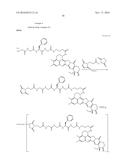 ANTI-HER2 ANTIBODY-DRUG CONJUGATE diagram and image