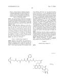 ANTI-HER2 ANTIBODY-DRUG CONJUGATE diagram and image