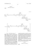 ANTI-HER2 ANTIBODY-DRUG CONJUGATE diagram and image