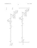 ANTI-HER2 ANTIBODY-DRUG CONJUGATE diagram and image