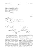 ANTI-HER2 ANTIBODY-DRUG CONJUGATE diagram and image