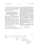 ANTI-HER2 ANTIBODY-DRUG CONJUGATE diagram and image