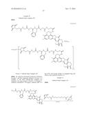 ANTI-HER2 ANTIBODY-DRUG CONJUGATE diagram and image