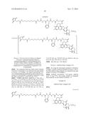 ANTI-HER2 ANTIBODY-DRUG CONJUGATE diagram and image