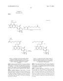 ANTI-HER2 ANTIBODY-DRUG CONJUGATE diagram and image