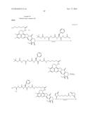 ANTI-HER2 ANTIBODY-DRUG CONJUGATE diagram and image