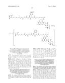 ANTI-HER2 ANTIBODY-DRUG CONJUGATE diagram and image